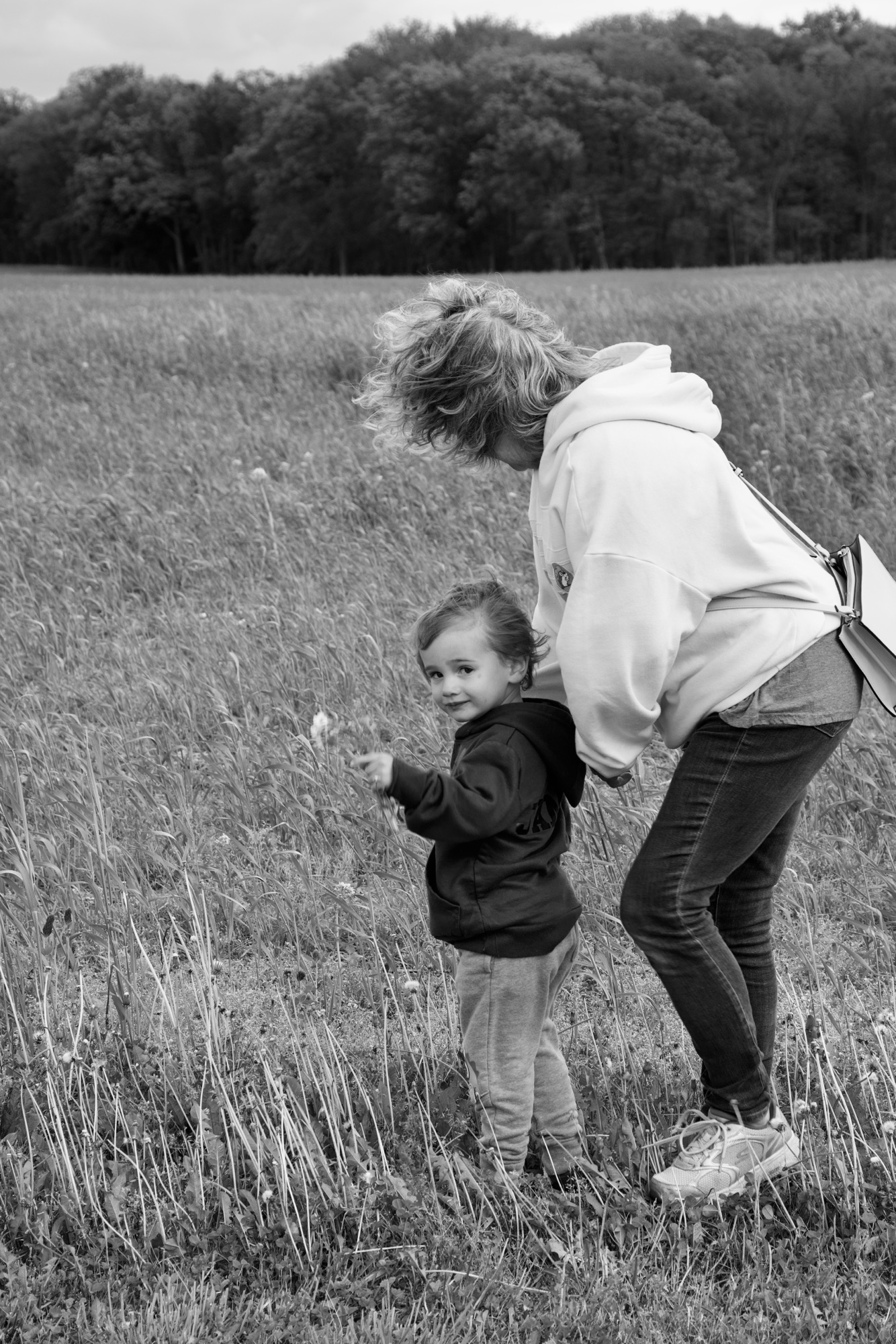 Memoirs of a Baby King at Mimi’s Palace