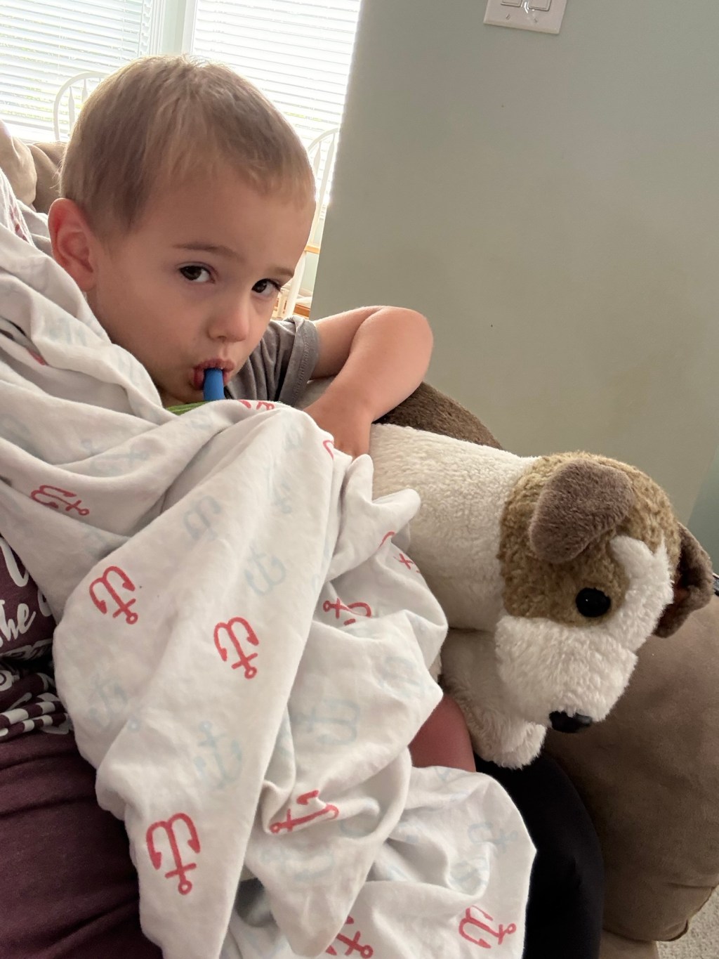 AITA- Blankey Loyalty & the Plush&nbsp;Betrayal