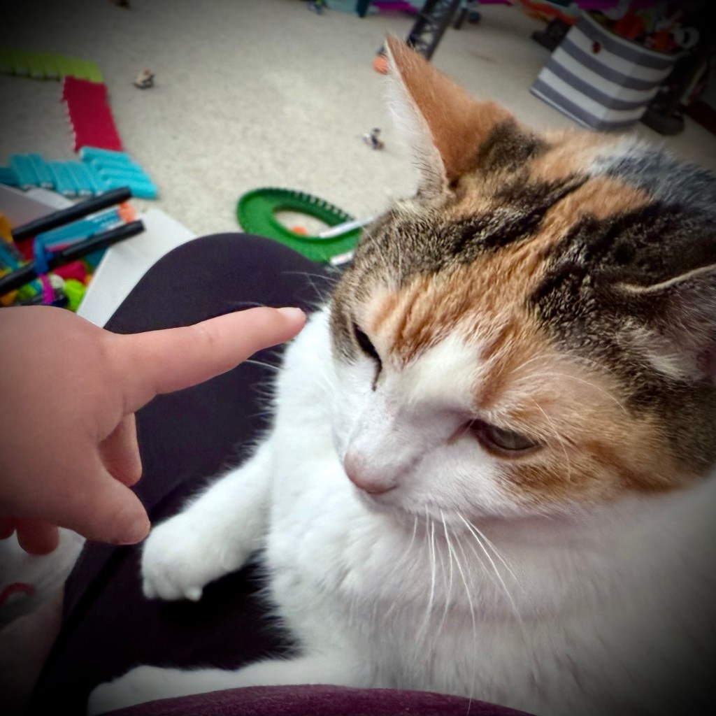 Excerpt from the Pookie&nbsp;Journals/1