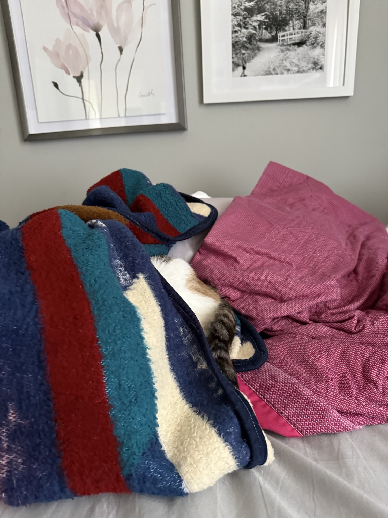 Excerpt from the Pookie Journals/6