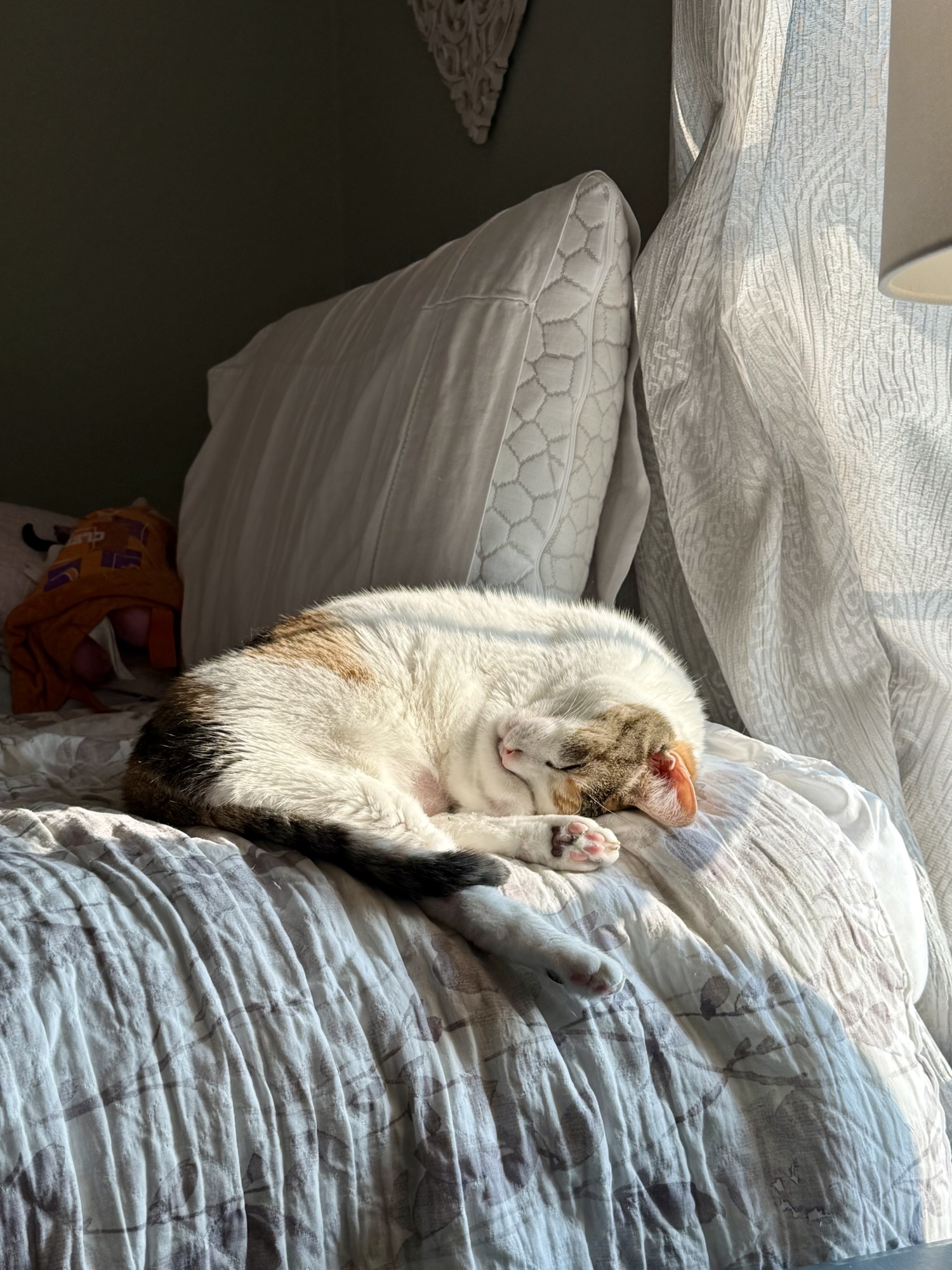 AITA for weaponizing my butt during a sacred snuggle&nbsp;ritual?