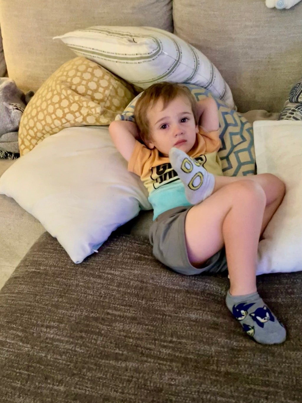 The Throne Refusal: A Mother’s Memoir & Potty&nbsp;Protest