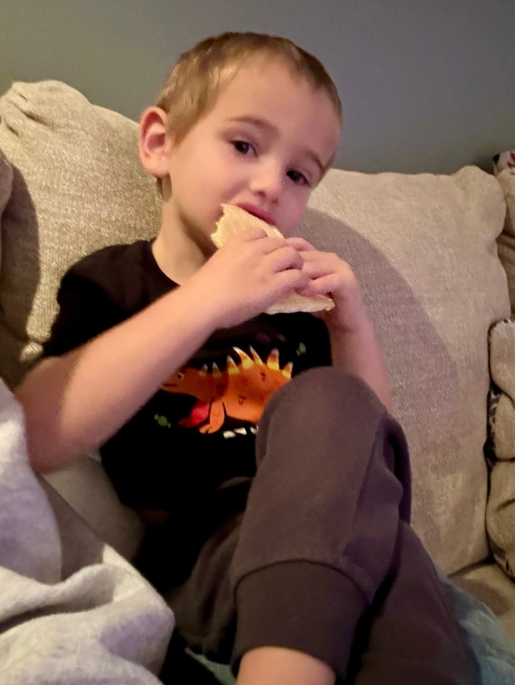 Snack Crimes Unit: Operation Apple&nbsp;Heist