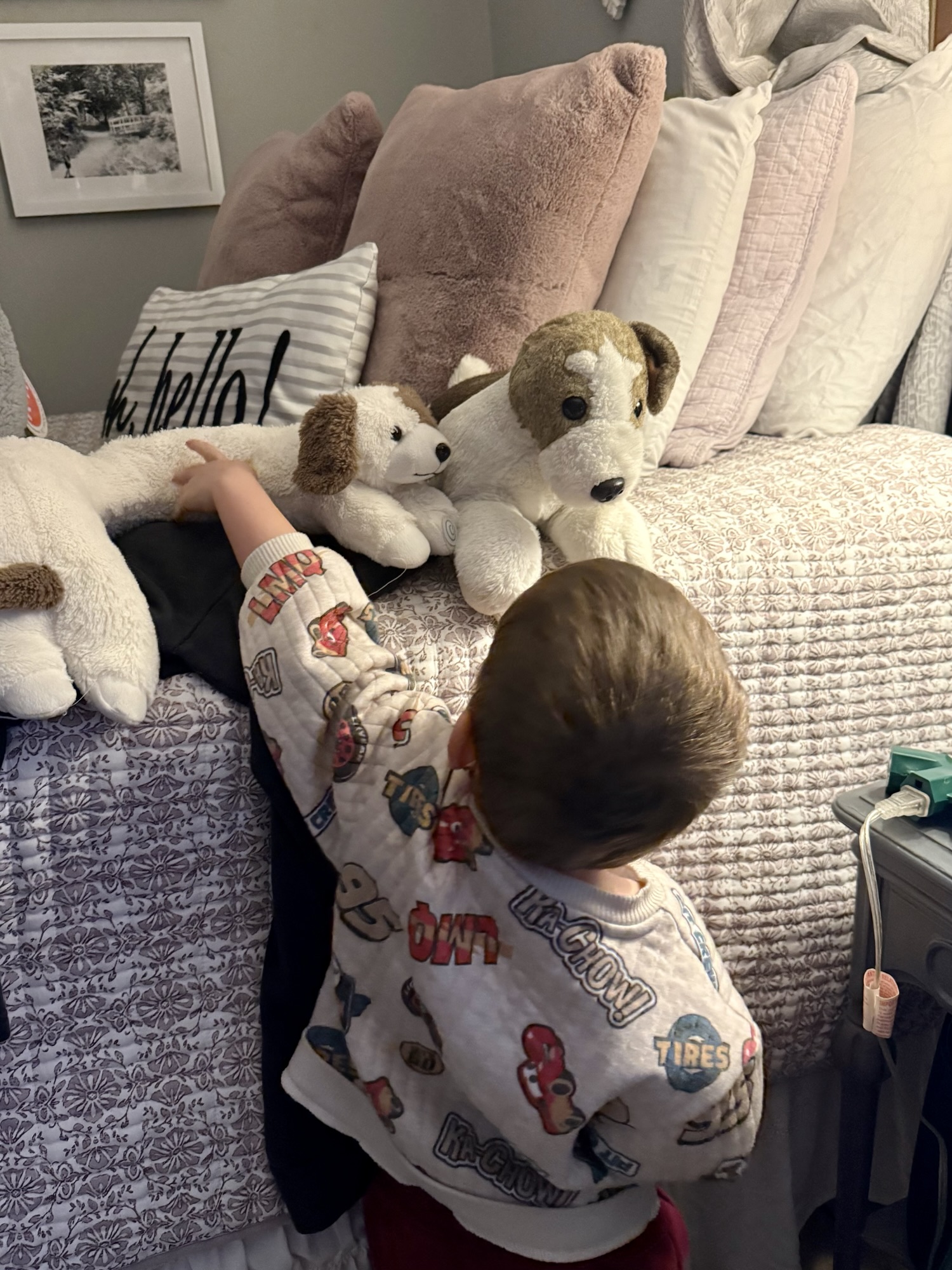 The Tequila Council: The&nbsp;Betrayal