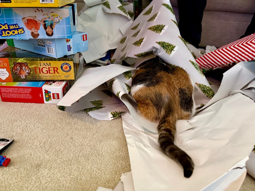 🎄 Pookie’s Royal Christmas Monologue