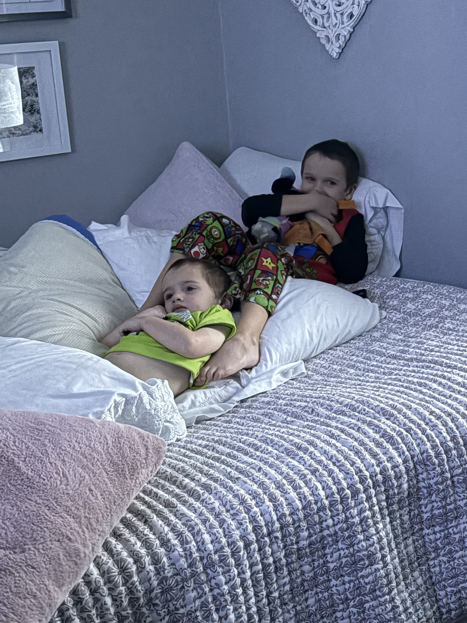 The Guest Bed Cat Video&nbsp;Summit