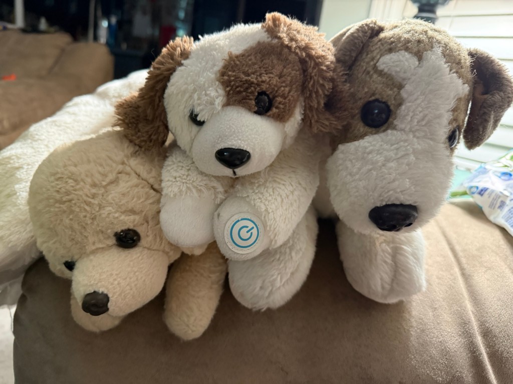 The Tequila Council: The Favoritism&nbsp;Inquiry