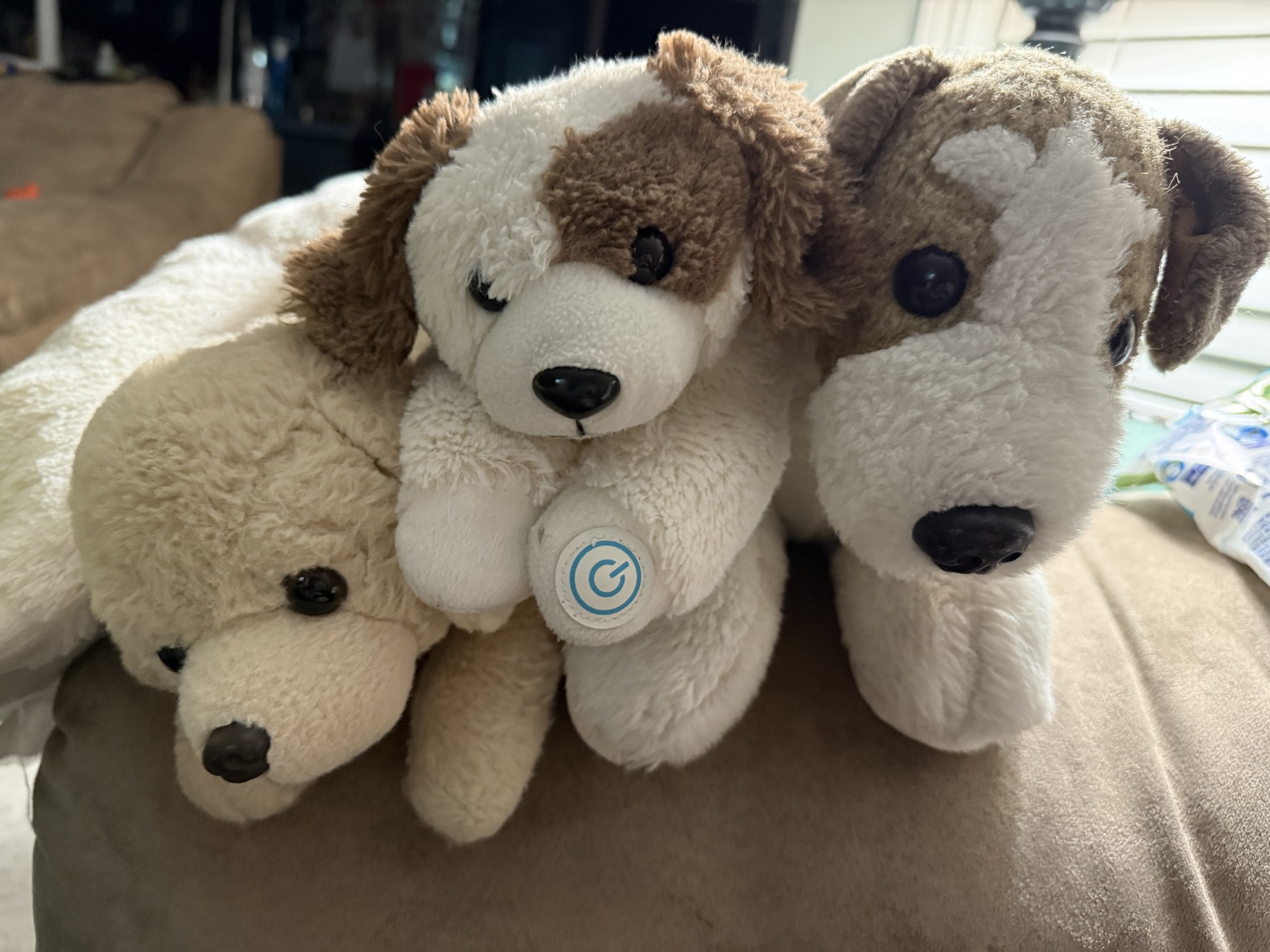 The Tequila Council: An Introduction