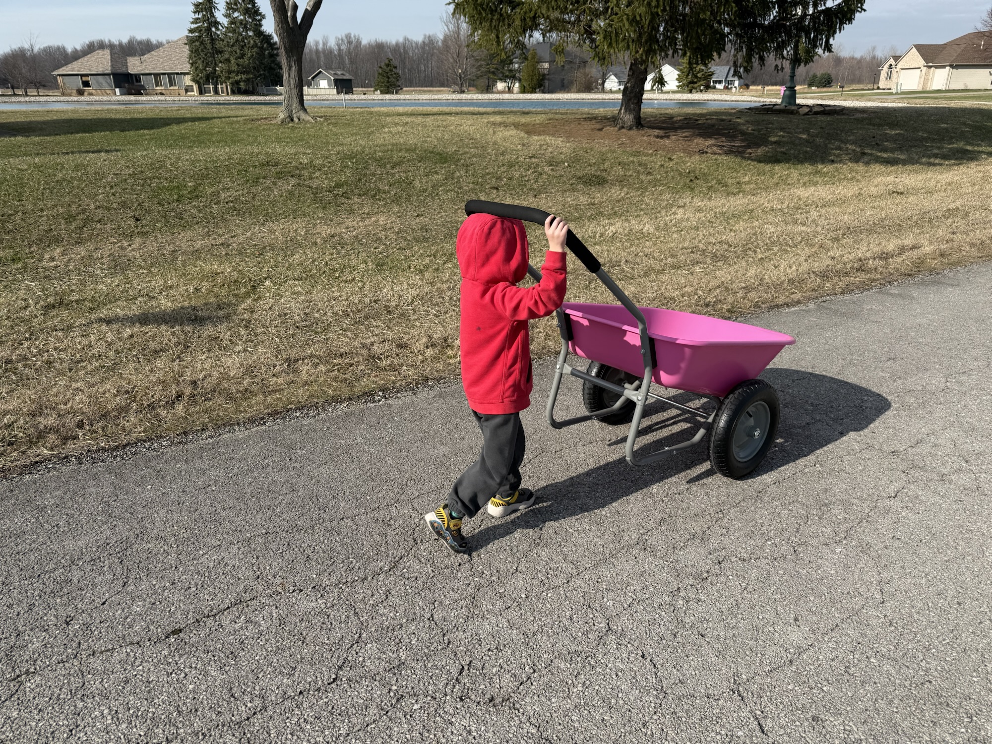 The Pink Chariot & Code&nbsp;Green